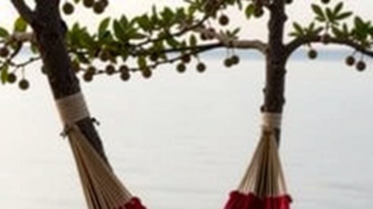 Best Trees for Hammocks: Your Guide to Relaxing Outdoors